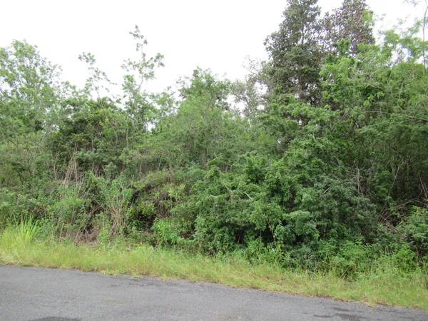 $27,500 | 19 Lotus Blossom Lane, Ocean View, HI 96704