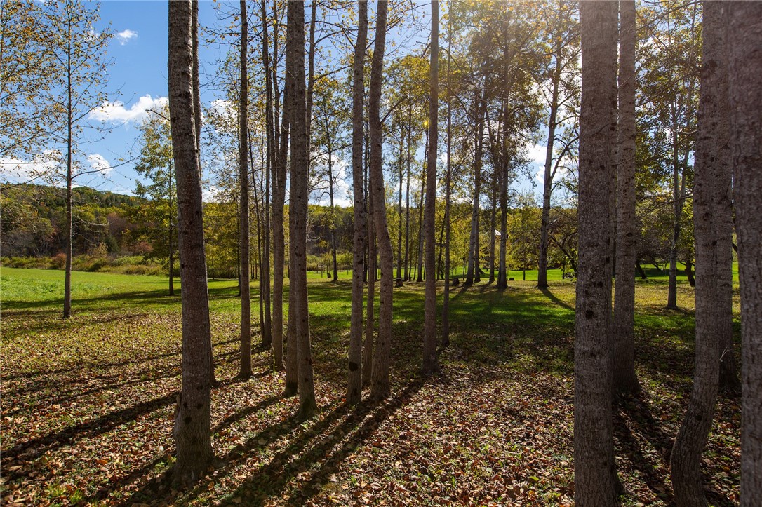 380 Raymond Fish Road Otsego, NY 13348 - Photo 44 of 50
