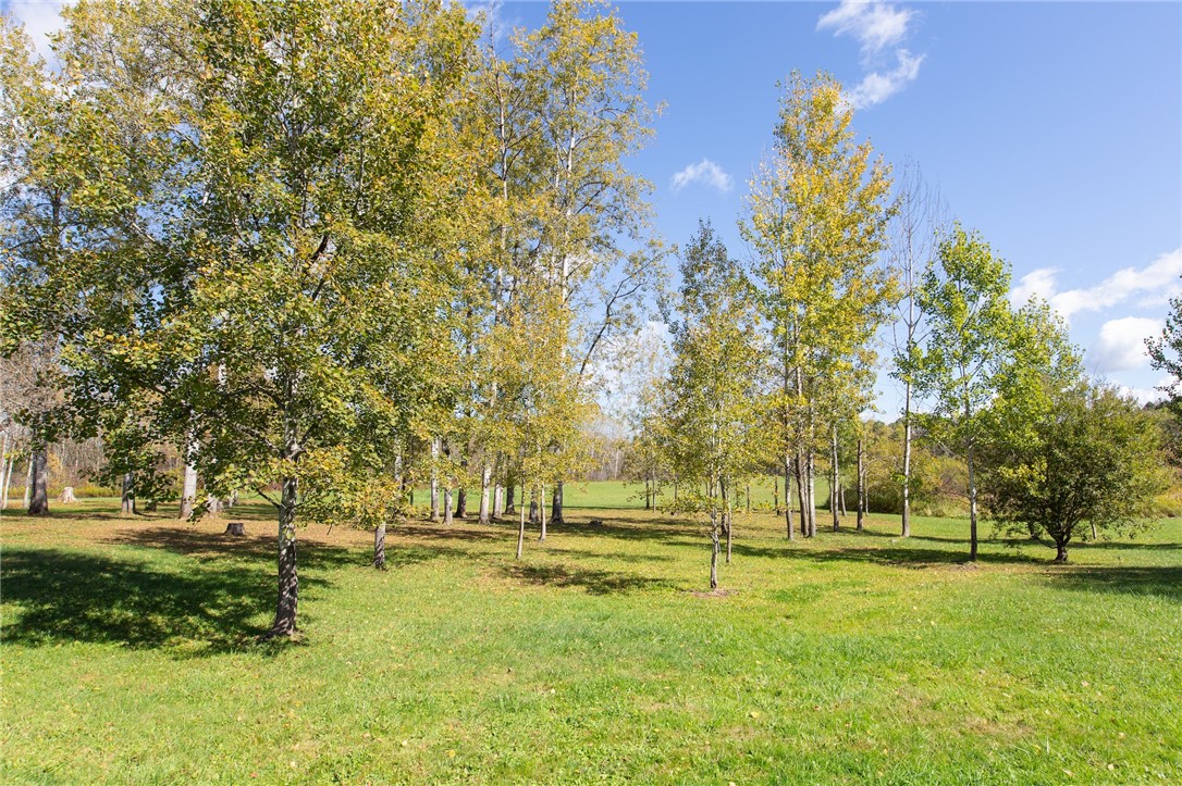 380 Raymond Fish Road Otsego, NY 13348 - Photo 46 of 50