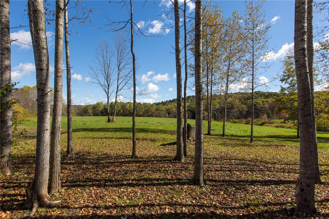 380 Raymond Fish Road Otsego, NY 13348 - Photo 8 of 50