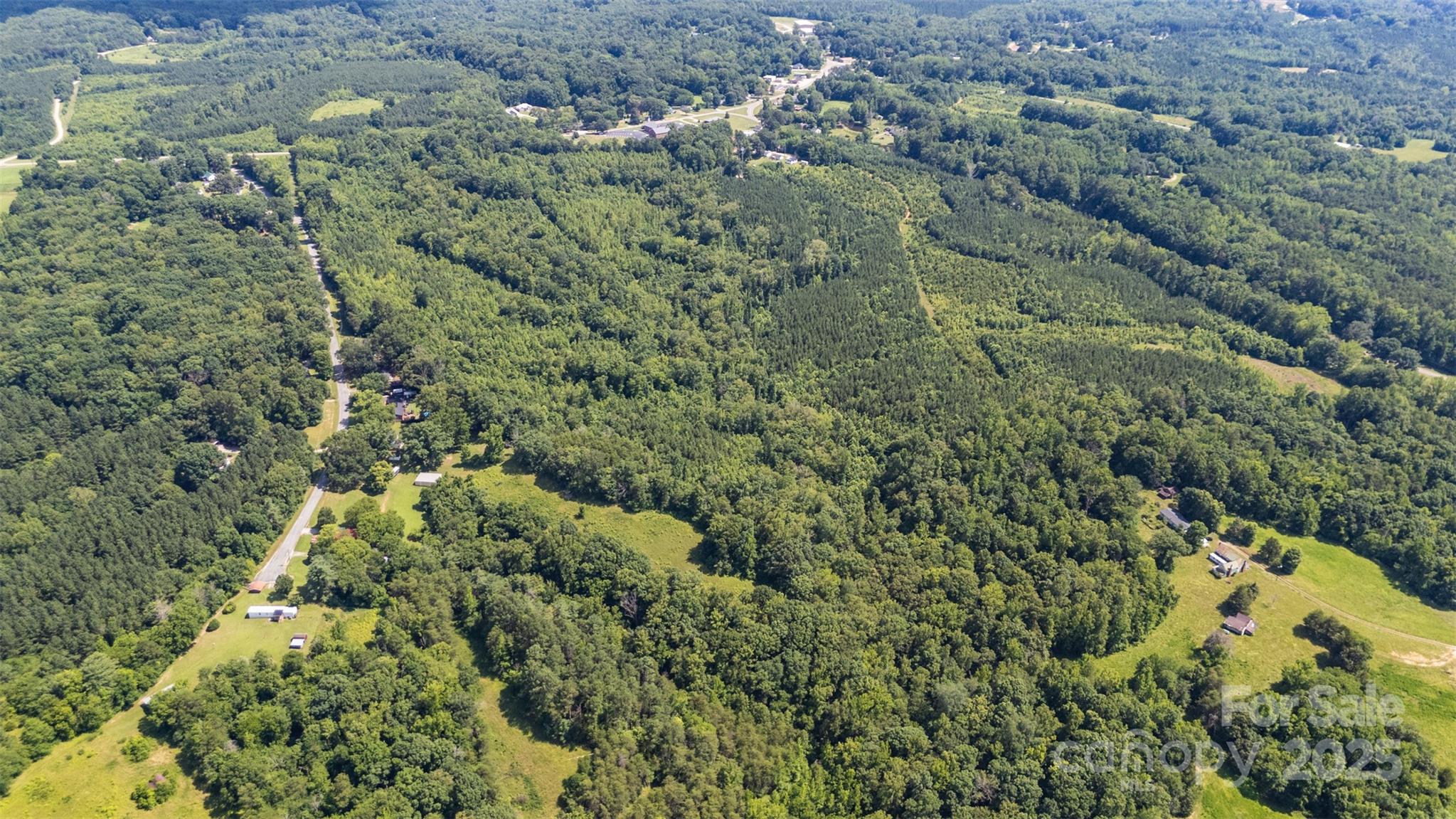 5600 Walters Mill Road Providence, NC 27315 - Photo 3 of 12 a view of a forest with a forest