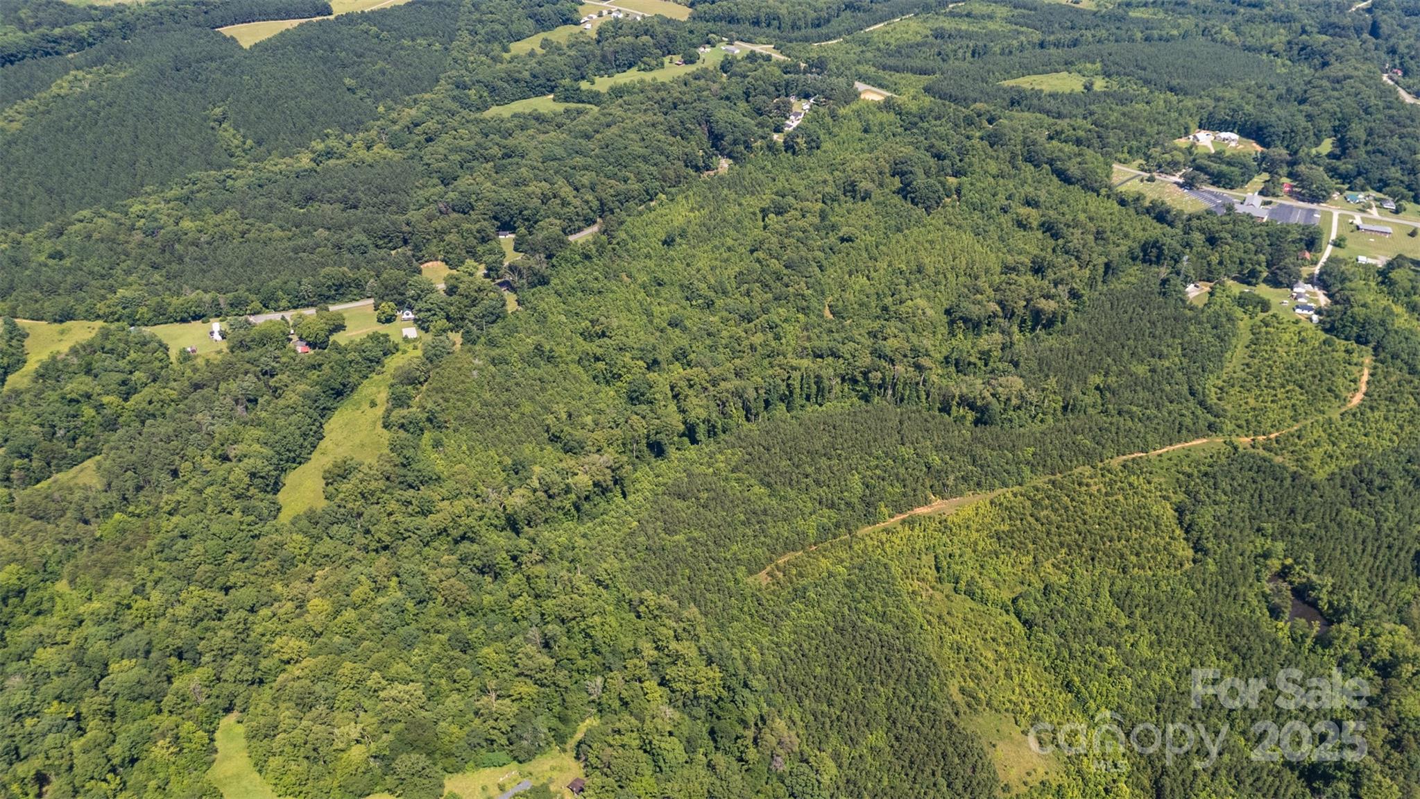 5600 Walters Mill Road Providence, NC 27315 - Photo 4 of 12 a view of a forest with a street