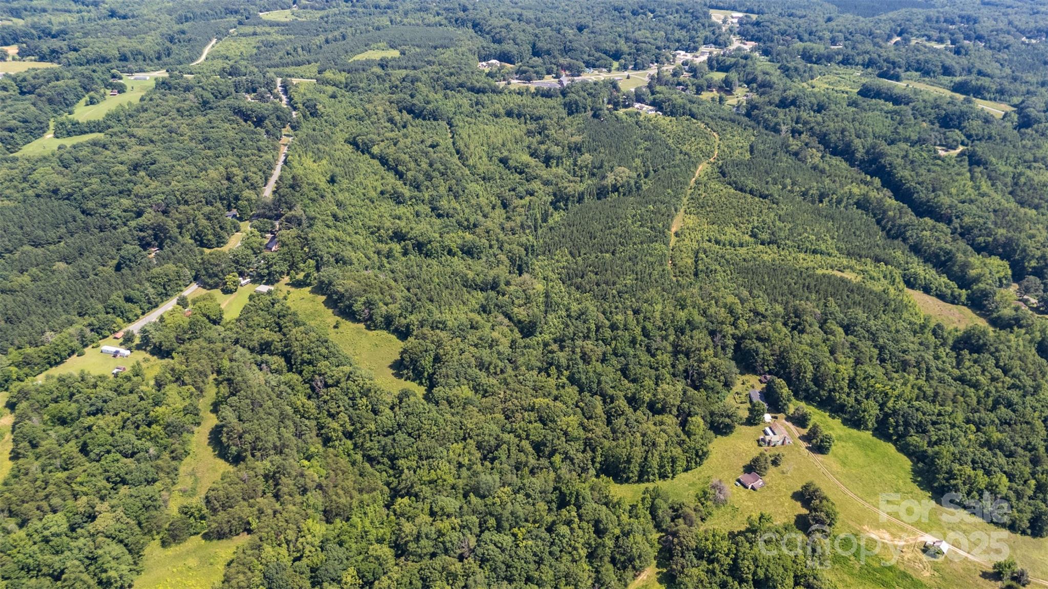 5600 Walters Mill Road Providence, NC 27315 - Photo 5 of 12 view of a forest with a houses