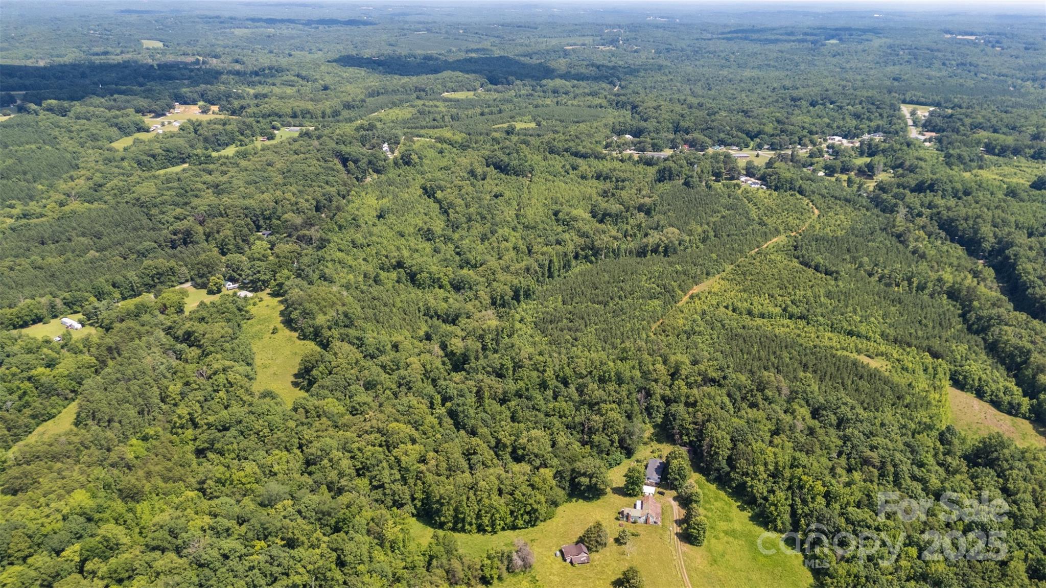 5600 Walters Mill Road Providence, NC 27315 - Photo 6 of 12 a view of a forest with a street