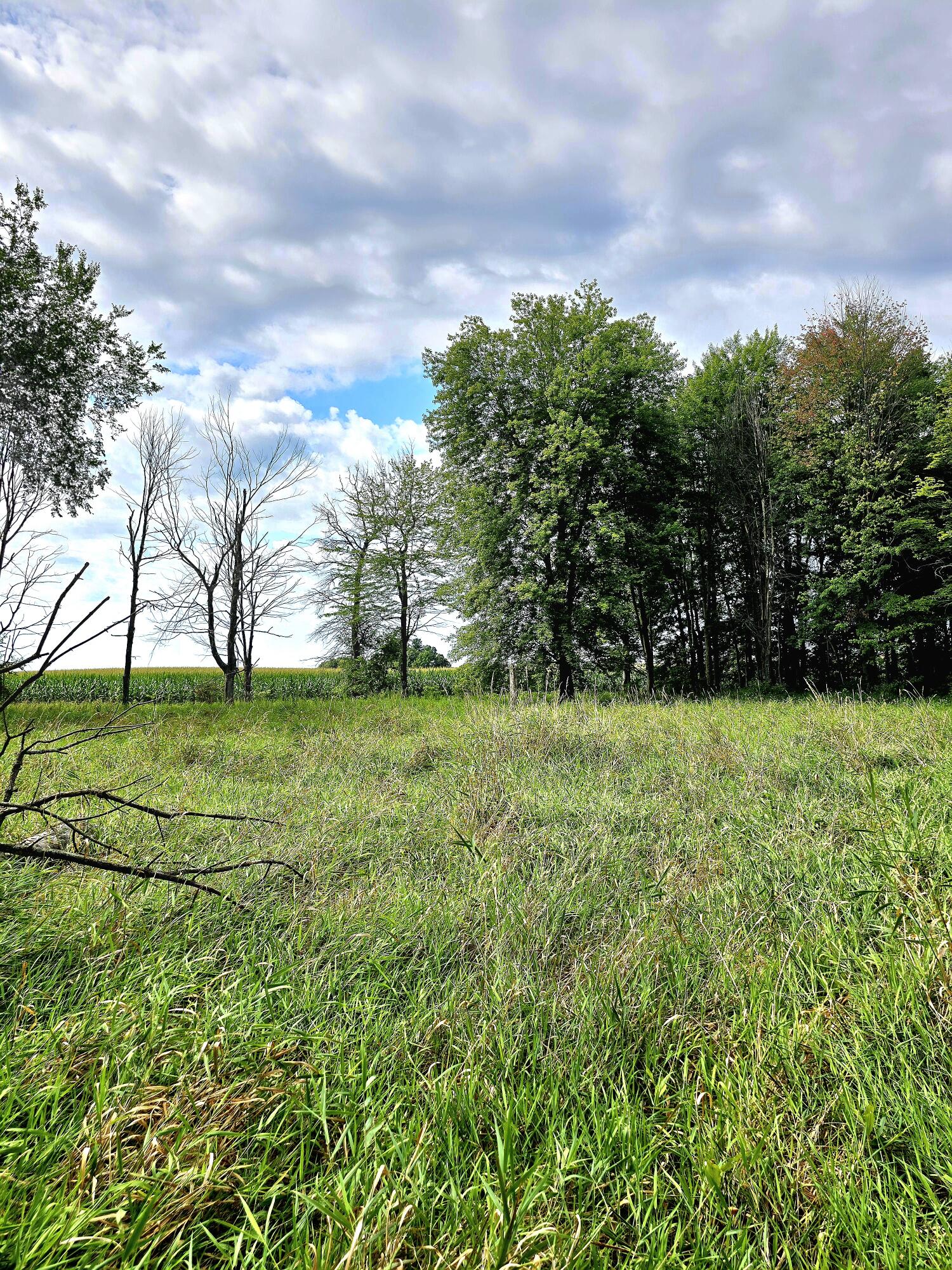 9252 Barnes Road Sheridan, MI 48884 - Photo 15 of 49 20240812_112112