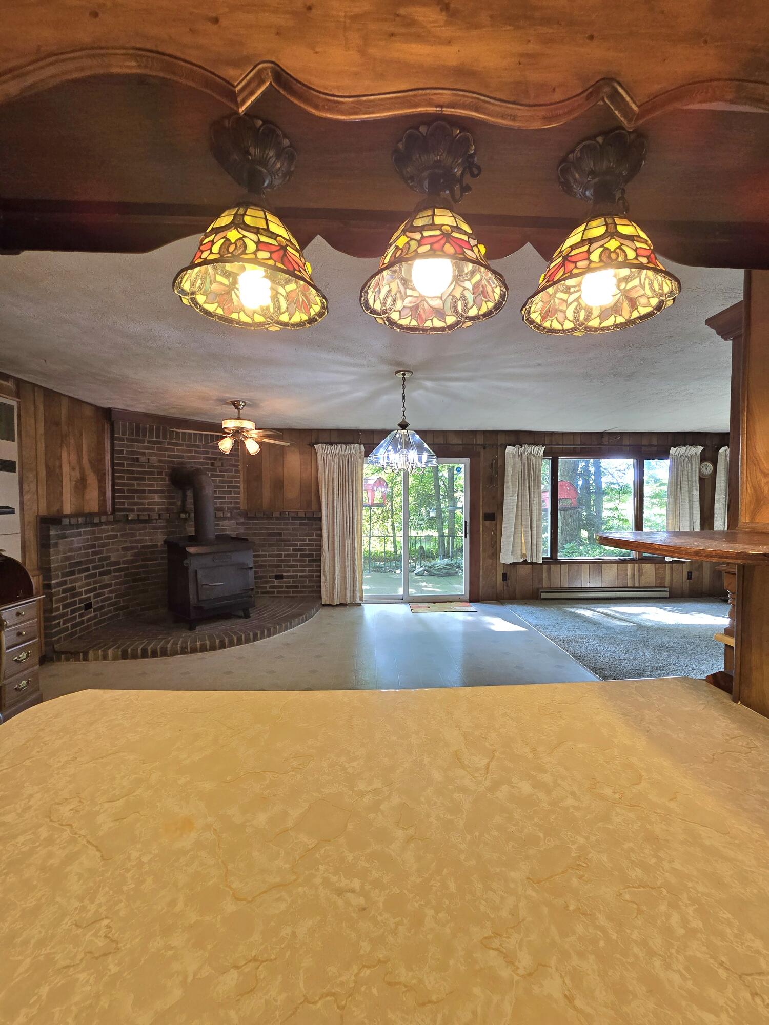 9252 Barnes Road Sheridan, MI 48884 - Photo 19 of 49 20240812_110253