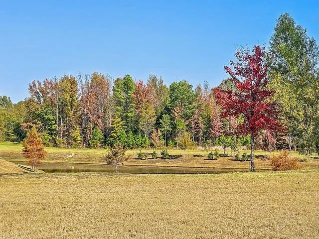 $874,900 | 834 Cypress Rock Cove, Collierville, TN 38017