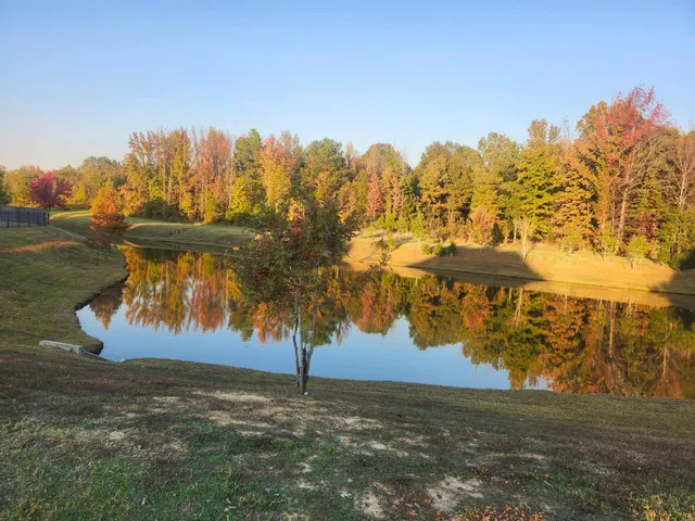 $874,900 | 834 Cypress Rock Cove, Collierville, TN 38017