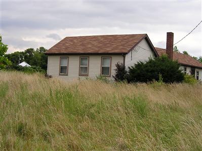 Primary Photo