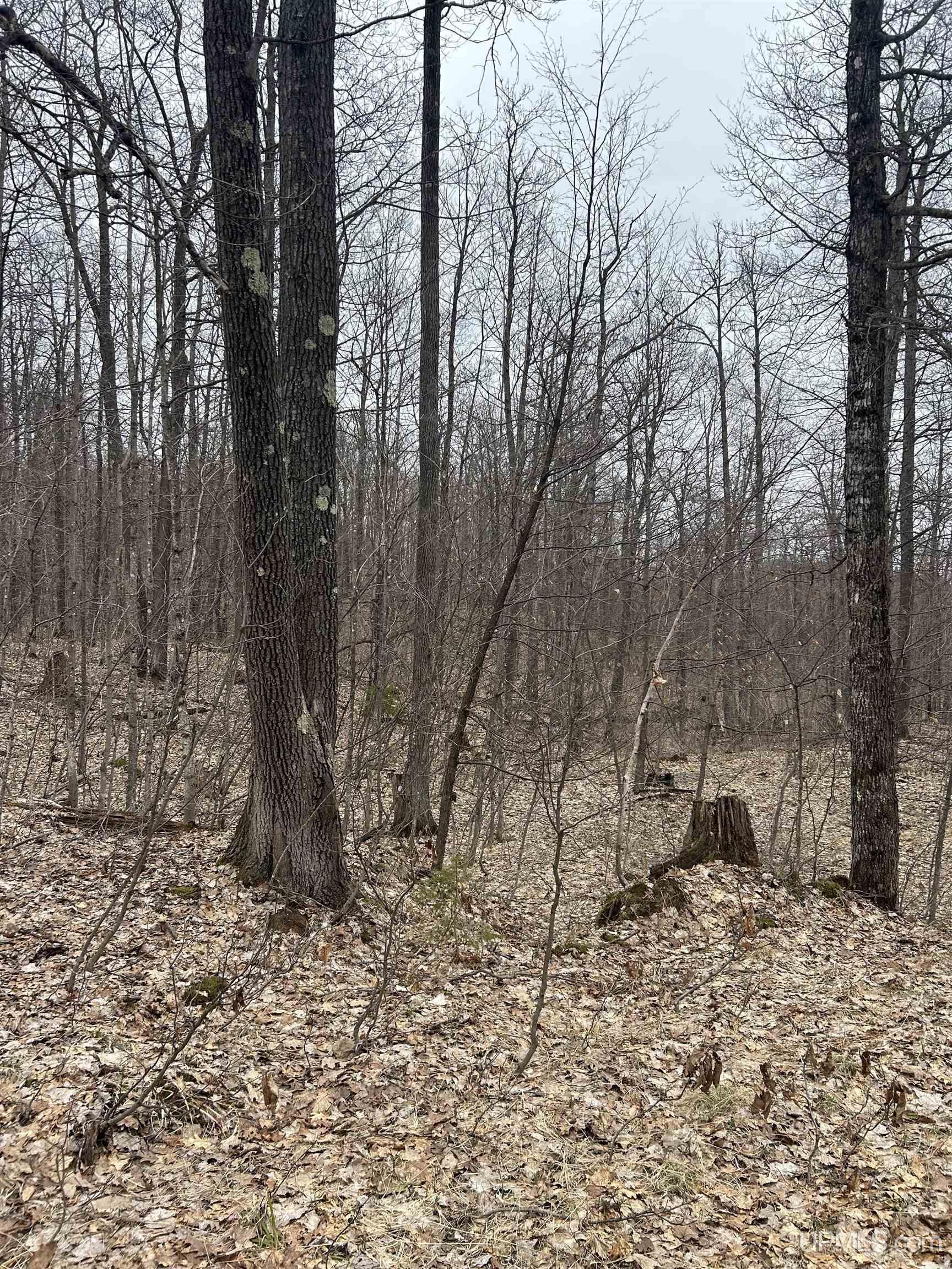 Near Krooks Road Negaunee, MI 49866 - Photo 13 of 15