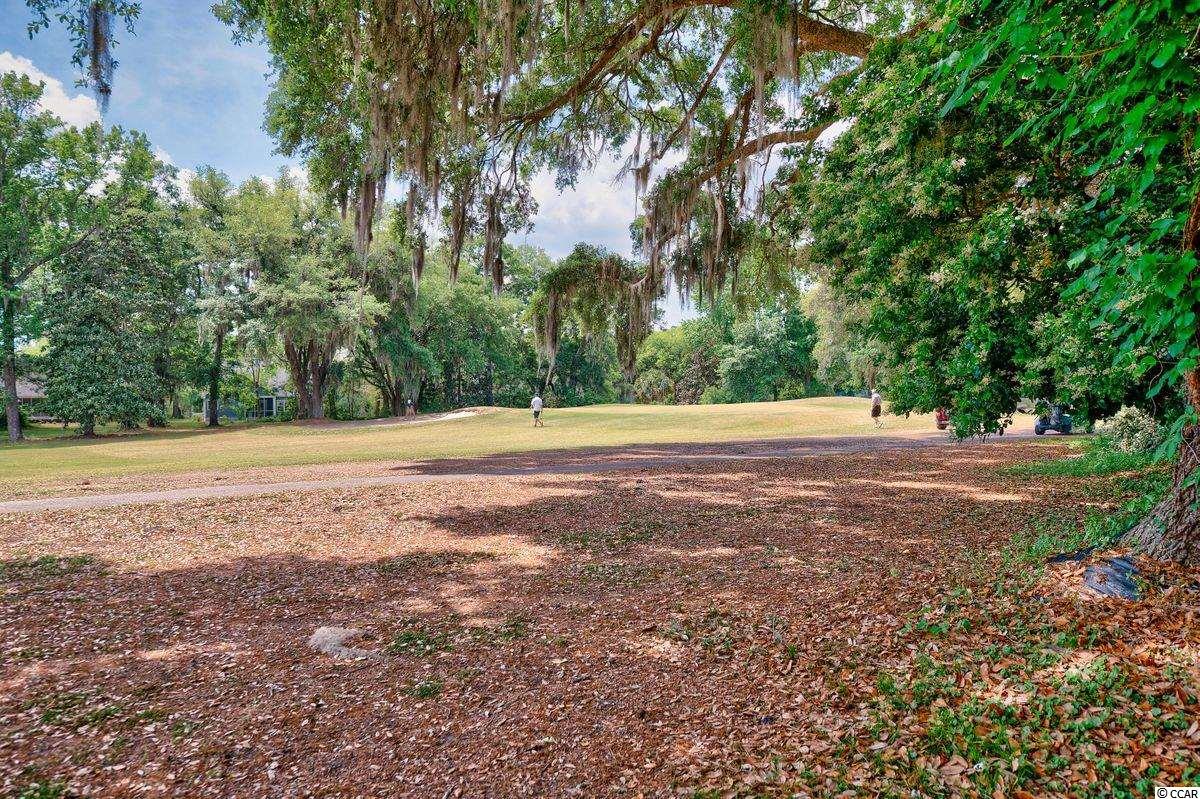 203 Wraggs Ferry Road Georgetown, SC 29440 - Photo 24 of 32 Gallery Image 24