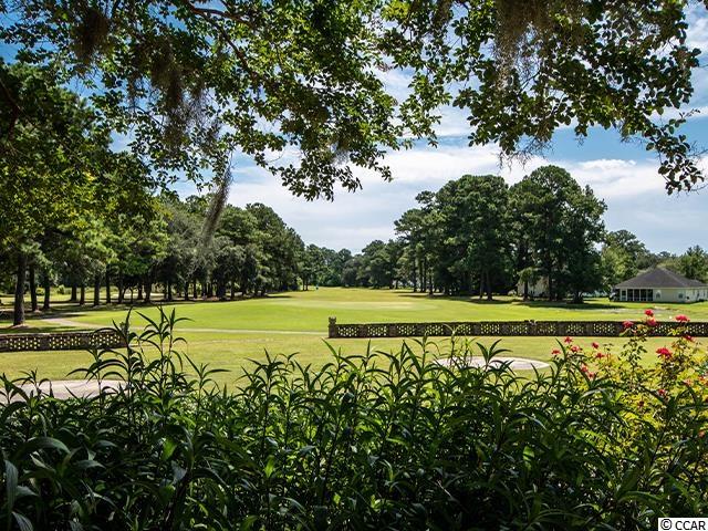 203 Wraggs Ferry Road Georgetown, SC 29440 - Photo 29 of 32 Gallery Image 29