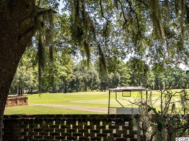 203 Wraggs Ferry Road Georgetown, SC 29440 - Photo 30 of 32 Gallery Image 30
