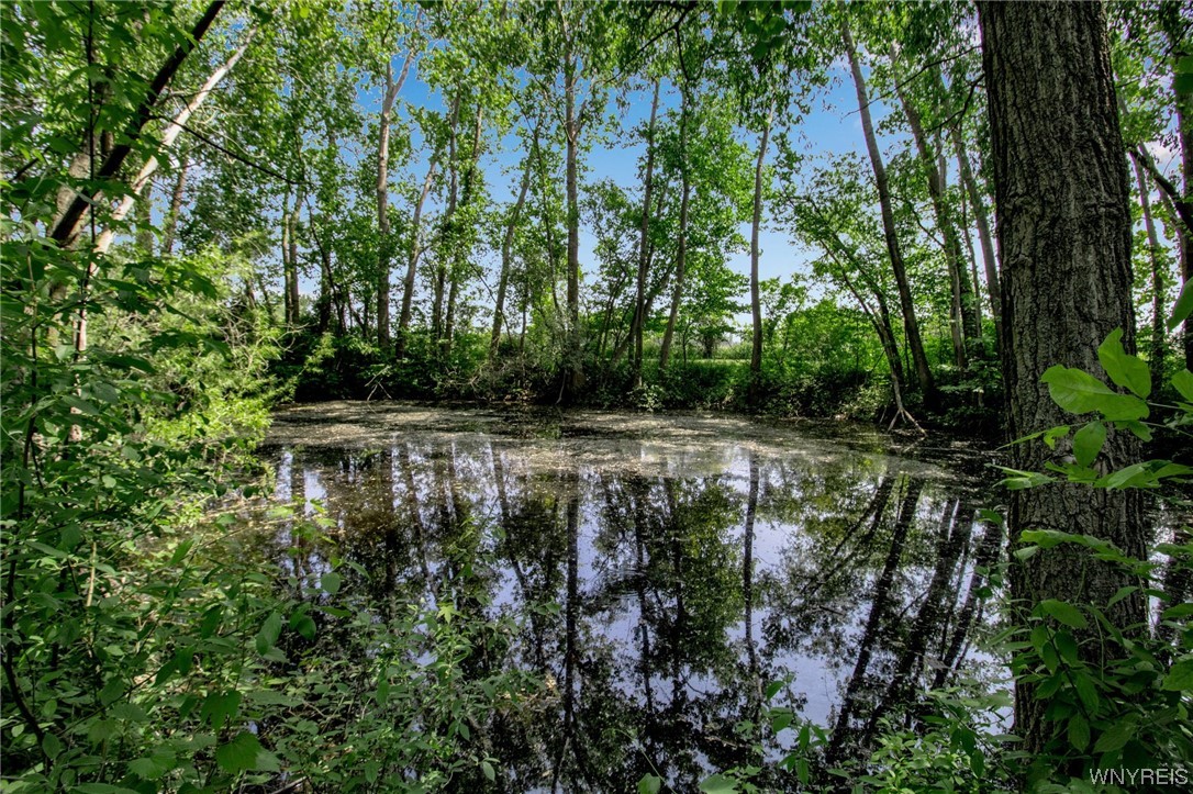 2899 Allens Bridge Road Gaines, NY 14411 - Photo 35 of 35