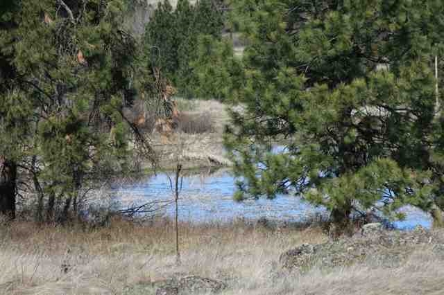 17400 West Williams Lake Road, Unit APPROXIMATE ADDRESS Cheney, WA 99004 - Photo 1 of 9