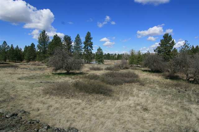 17400 West Williams Lake Road, Unit APPROXIMATE ADDRESS Cheney, WA 99004 - Photo 2 of 9