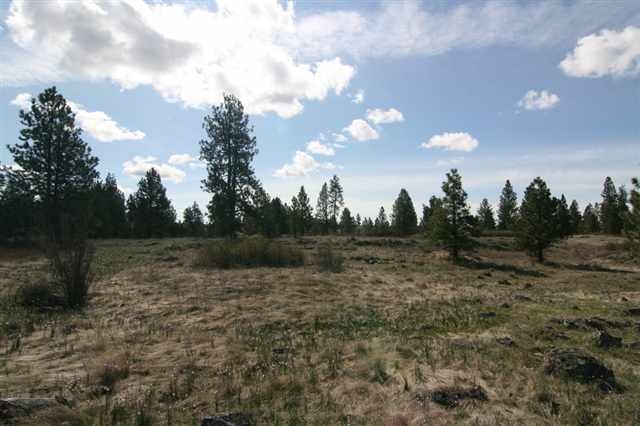 17400 West Williams Lake Road, Unit APPROXIMATE ADDRESS Cheney, WA 99004 - Photo 3 of 9