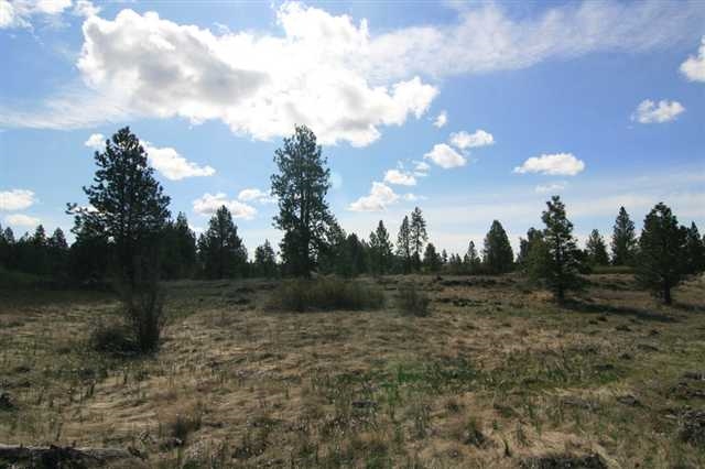 17400 West Williams Lake Road, Unit APPROXIMATE ADDRESS Cheney, WA 99004 - Photo 4 of 9