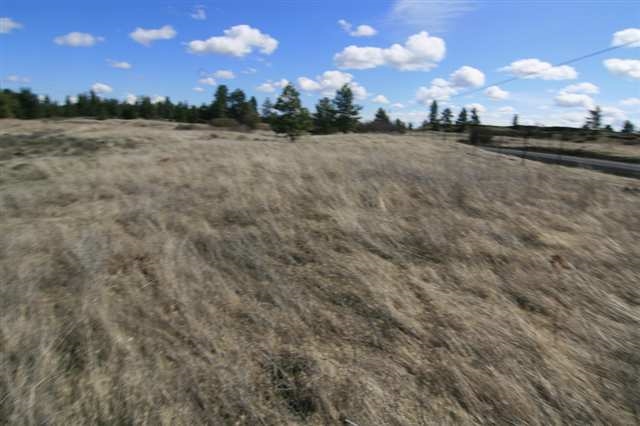 17400 West Williams Lake Road, Unit APPROXIMATE ADDRESS Cheney, WA 99004 - Photo 5 of 9