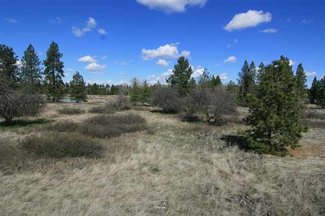 17400 West Williams Lake Road, Unit APPROXIMATE ADDRESS Cheney, WA 99004 - Photo 6 of 9