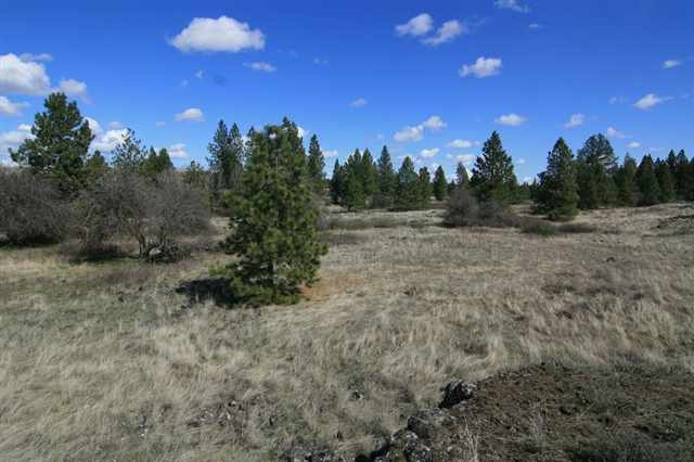 17400 West Williams Lake Road, Unit APPROXIMATE ADDRESS Cheney, WA 99004 - Photo 7 of 9