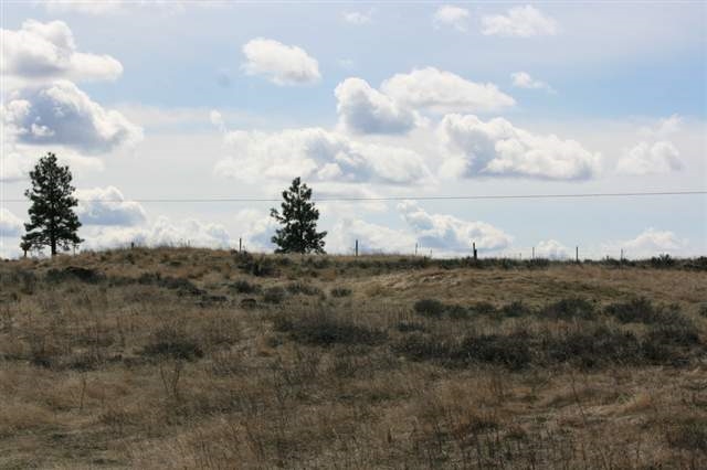 17400 West Williams Lake Road, Unit APPROXIMATE ADDRESS Cheney, WA 99004 - Photo 9 of 9