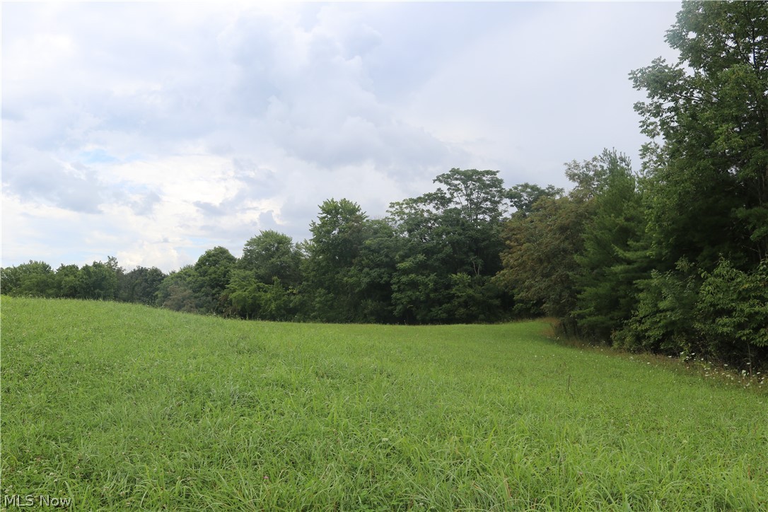 Athens Road Roseville, OH 43777 - Photo 2 of 23 Gallery Image 2