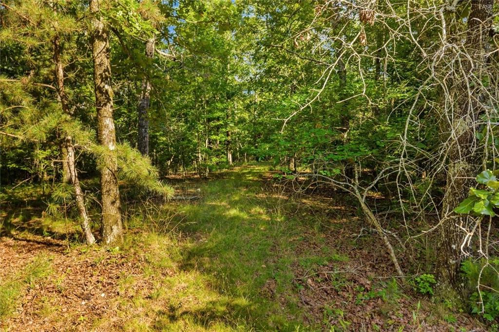 0 Blacks Bluff Road Southwest Cave Spring, GA 30124 - Photo 24 of 31