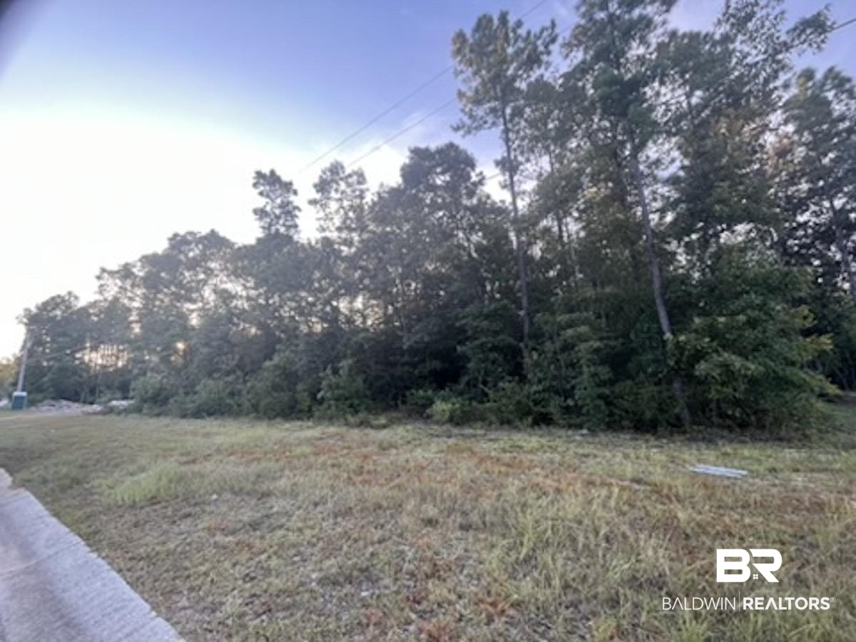 10 Cayden Circle Stapleton, AL 36578 - Photo 4 of 4 Lot 10 Angle View