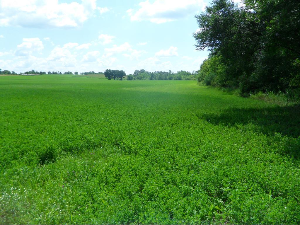 15077 County Road 52 Avon, MN 56310 - Photo 1 of 1 Gallery Image 1
