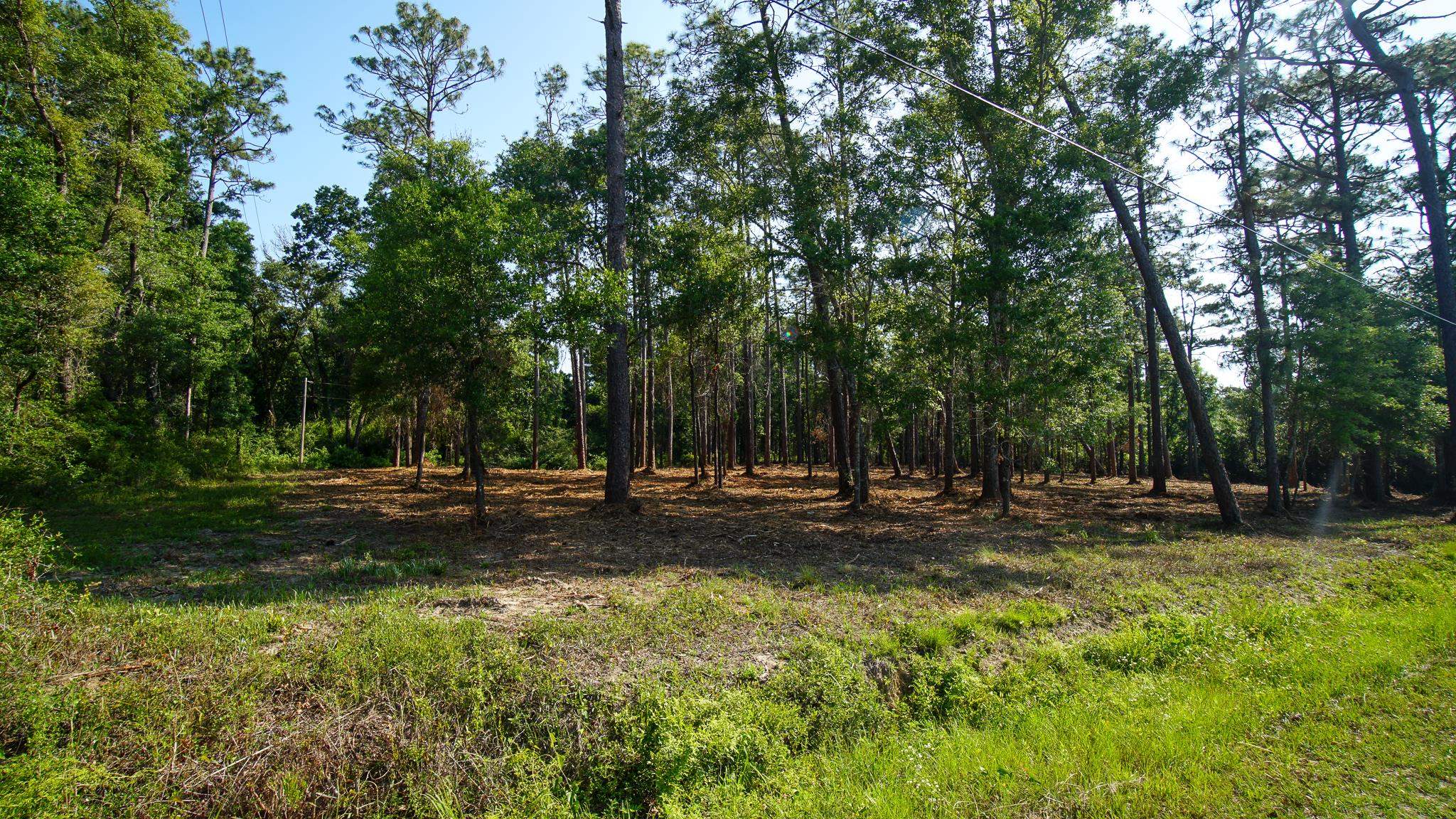 0 Antietam Road Lillian, AL 36549 - Photo 26 of 32