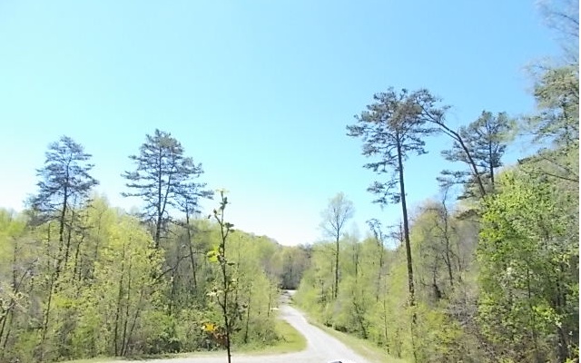 21 Spring Run Drive Blue Ridge, GA 30513 - Photo 1 of 1