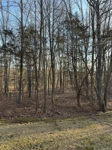 a view of a yard with large trees