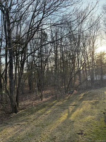 a view of outdoor space with trees