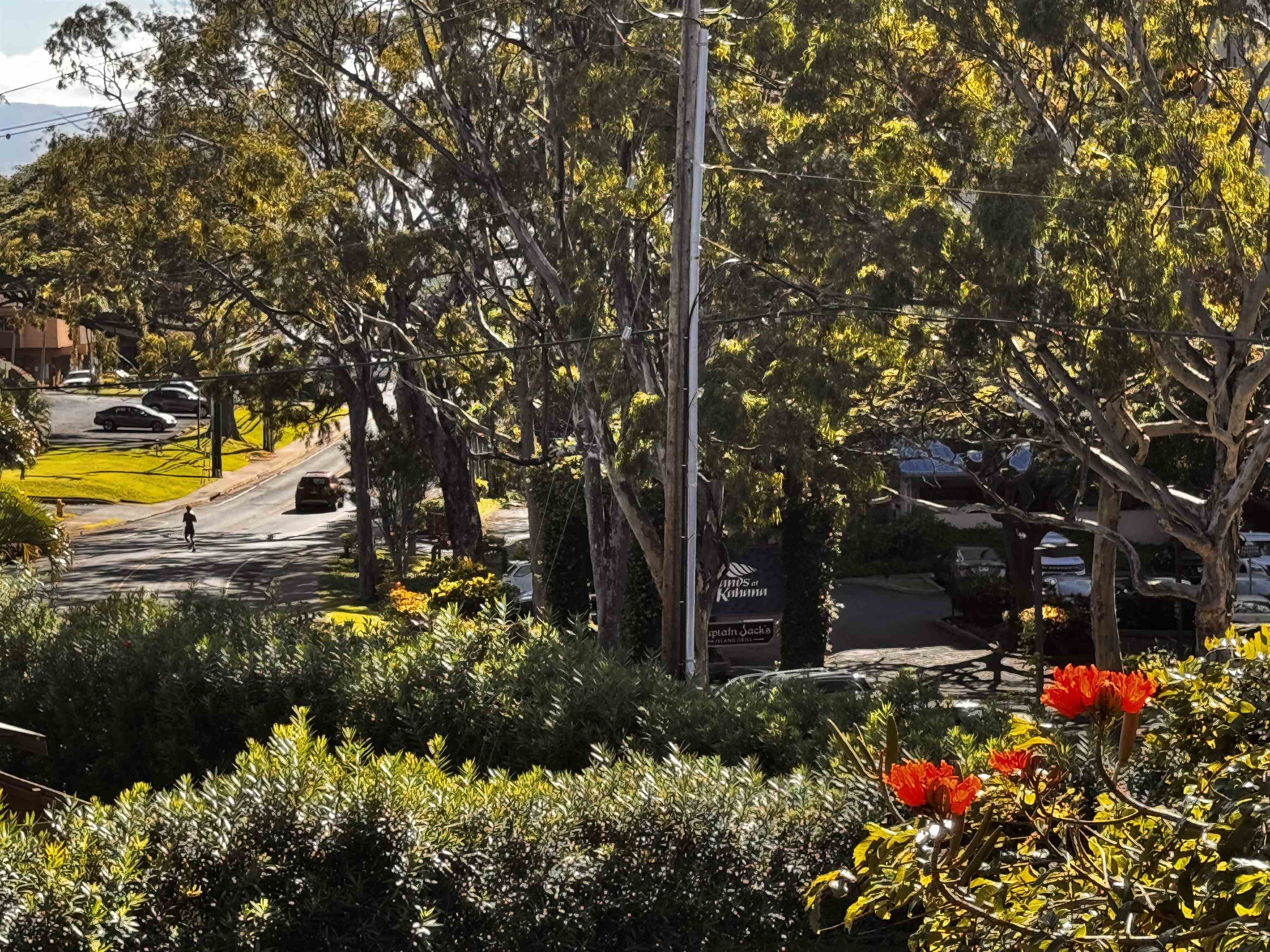 4310 Lower Honoapiilani Road, Unit 315 Lahaina, HI 96761 - Photo 14 of 20