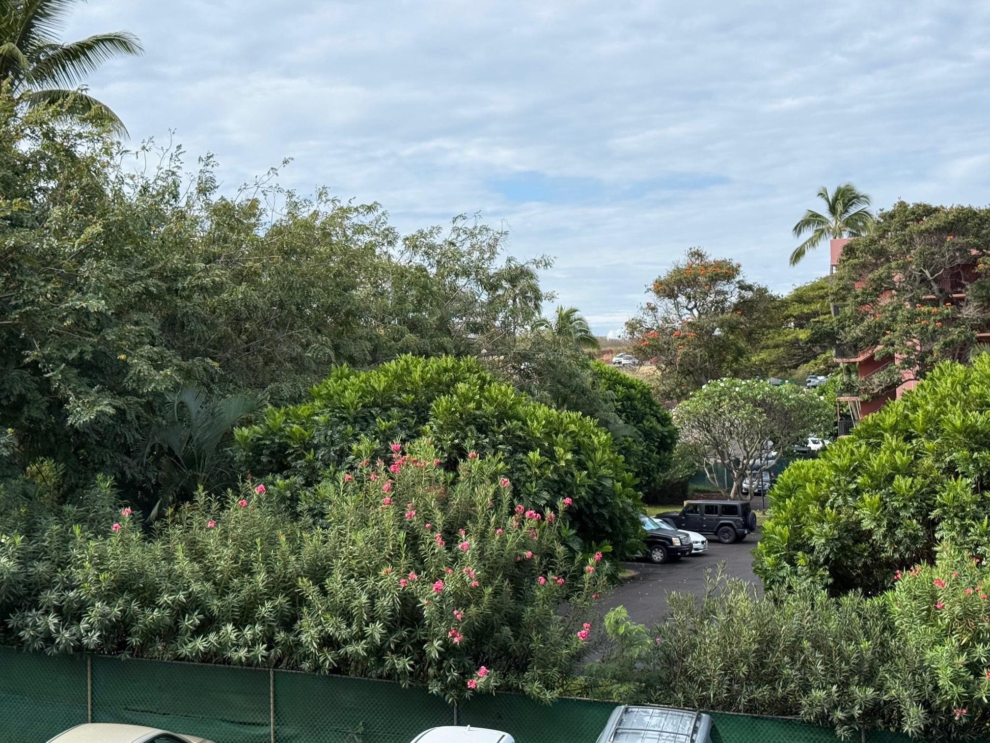 4310 Lower Honoapiilani Road, Unit 315 Lahaina, HI 96761 - Photo 15 of 20 an aerial view of residential house with outdoor space and trees all around