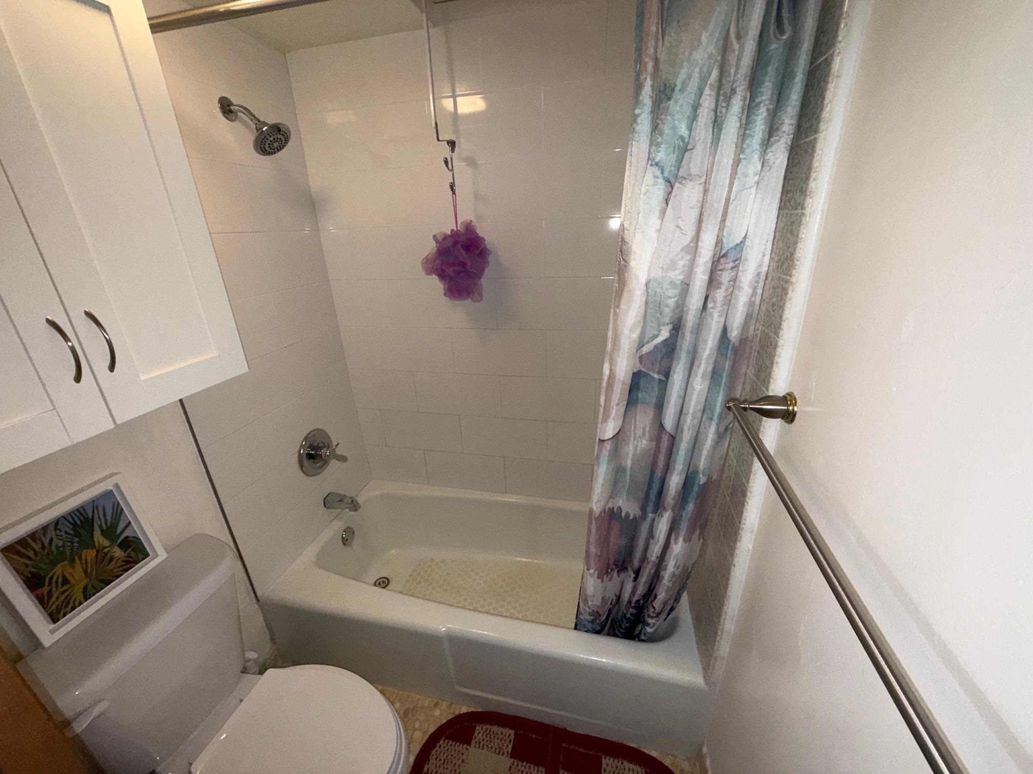 4310 Lower Honoapiilani Road, Unit 315 Lahaina, HI 96761 - Photo 10 of 20 a bathroom with a sink a toilet and a bathtub