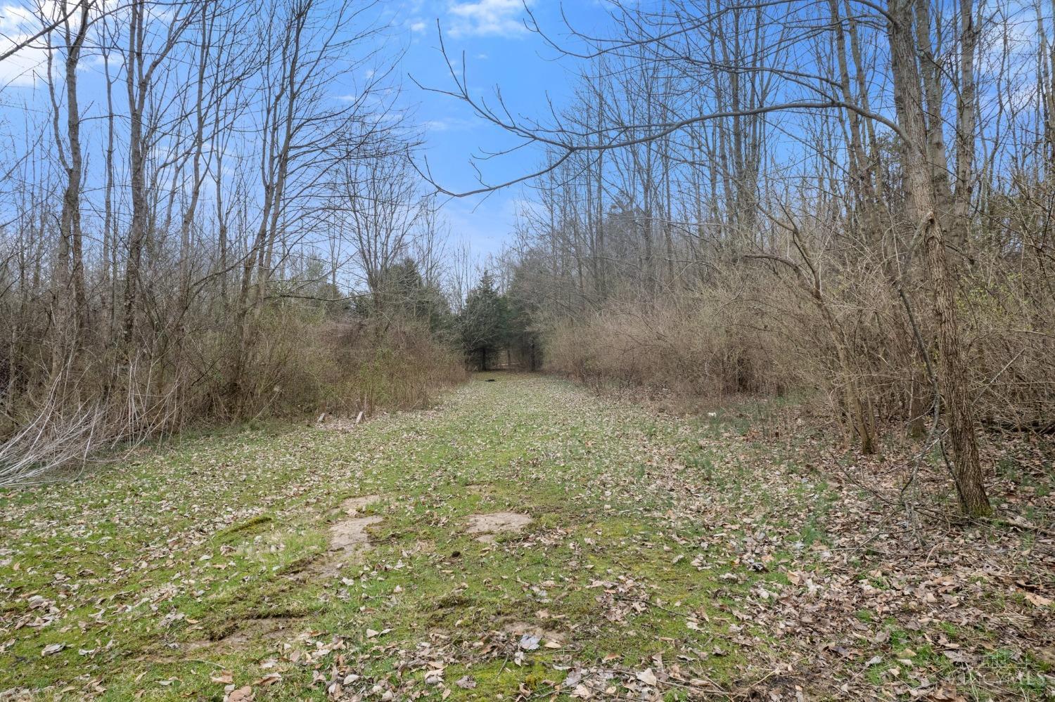 17012 Bodman Road Mount Orab, OH 45154 - Photo 31 of 37 Gallery Image 31