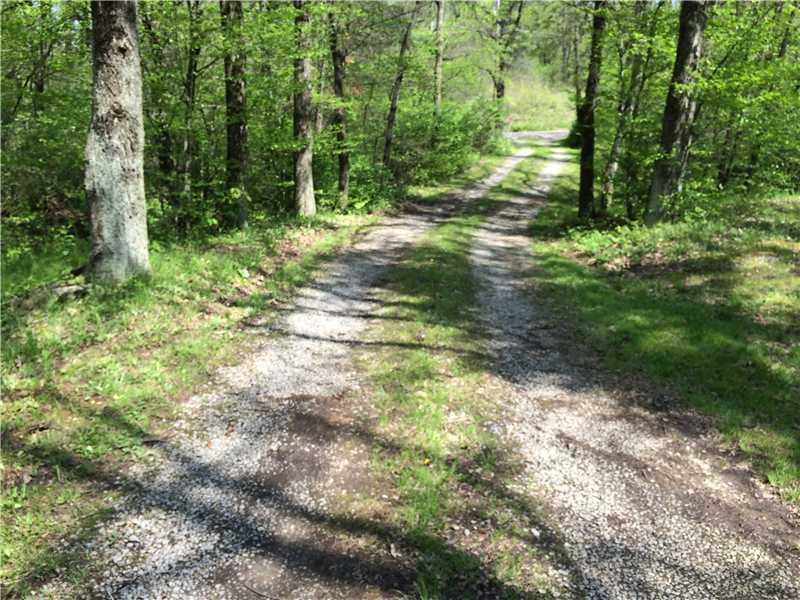 1406 Camp Coulter Road Knox, PA 16232 - Photo 25 of 25 Other. Driveway leading out to Road