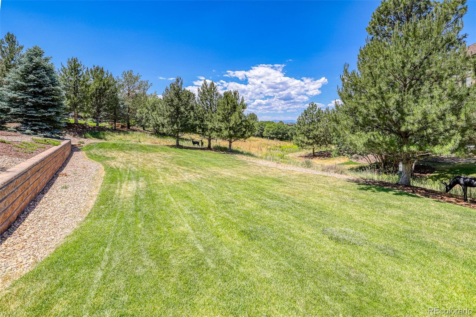 9317 Windhaven Drive Parker, CO 80134 - Photo 46 of 50