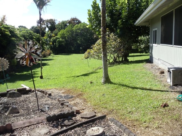 28-389 Kulaimano Road Pepeekeo, HI 96783 - Photo 6 of 13