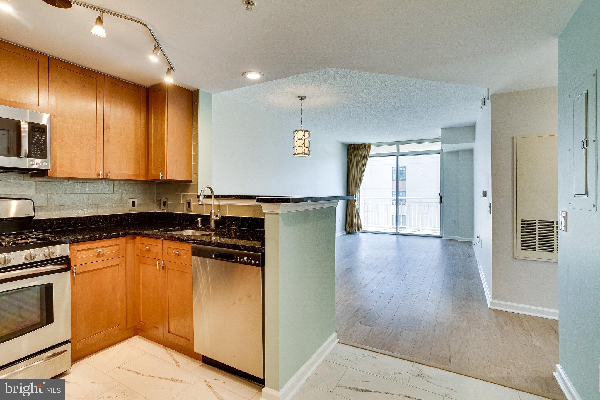 930 Wayne Avenue, Unit 1002 Silver Spring, MD 20910 - Photo 7 of 28