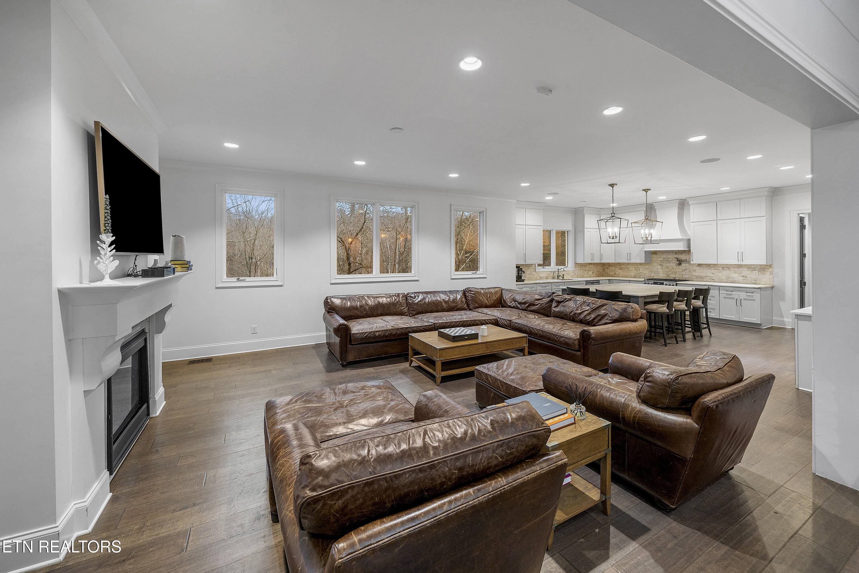 5401 Mill Ridge Drive Knoxville, TN 37919 - Photo 13 of 46 LIVING ROOM