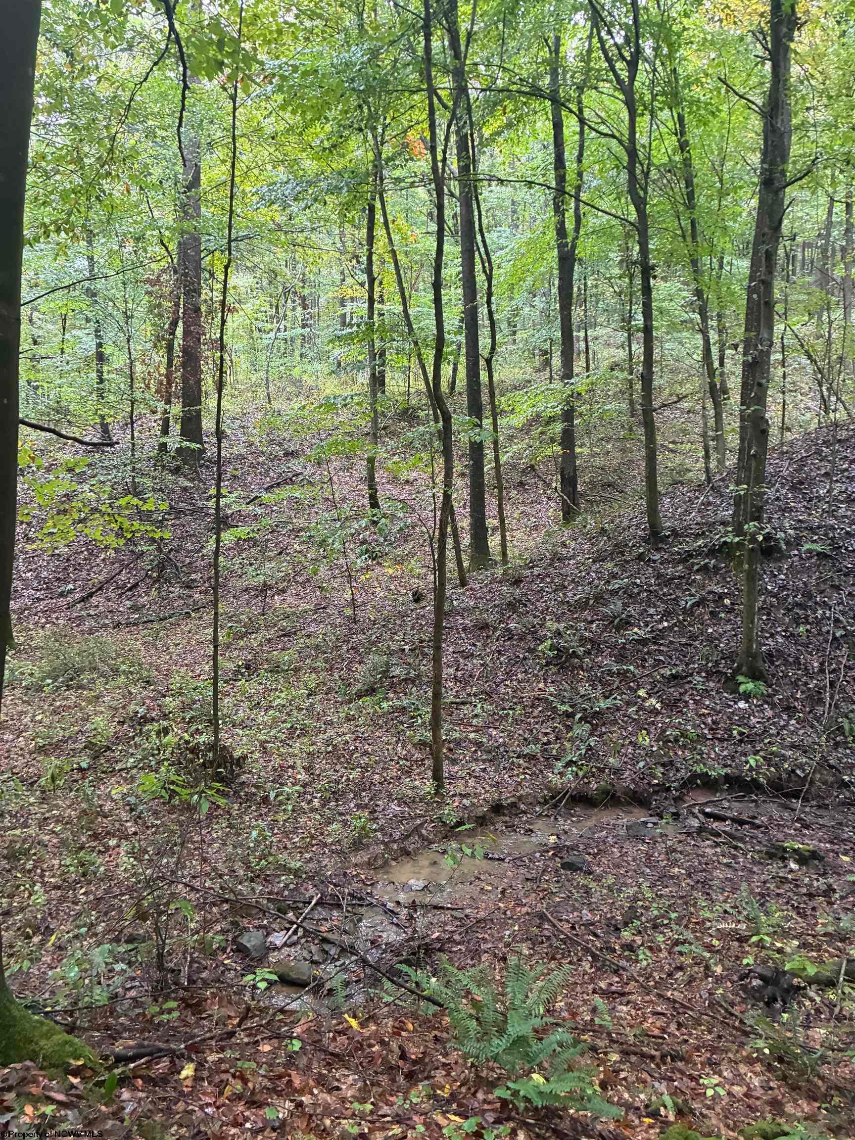 5150 Indian Road Salem, WV 26426 - Photo 16 of 38 Gallery Image 16