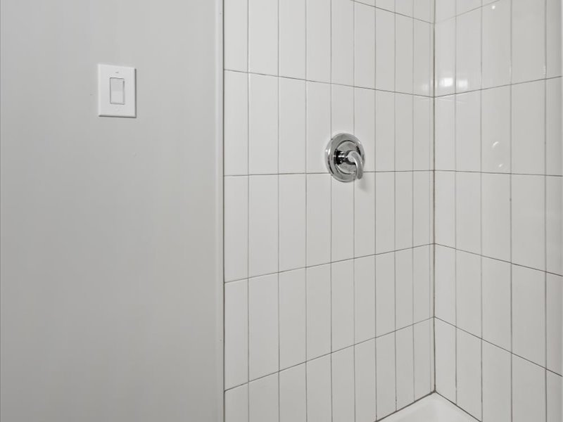 3922 West 59th Place Chicago, IL 60629 - Photo 24 of 29 a bathroom with a shower