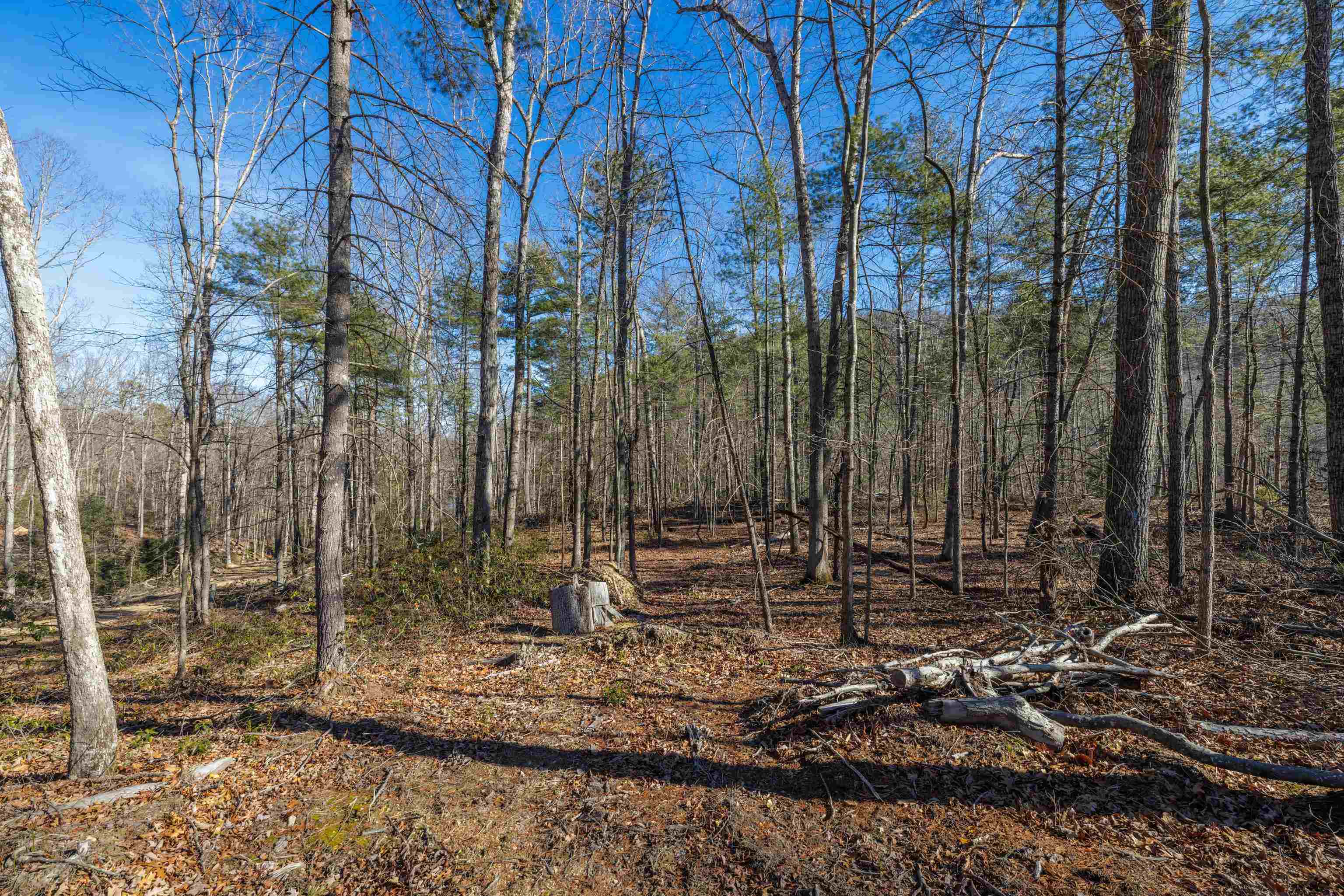 24.97-ac Stribling Springs Road Mount Solon, VA 22843 - Photo 26 of 34 a backyard of a house with lots of green space