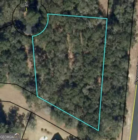 $30,250 | 0 Blakberry Lane Northeast, Townsend, GA 31331