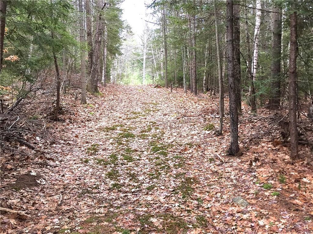 112 Cross Point Road Edgecomb, ME 04556 - Photo 17 of 26 Acres of trails to enjoy for...