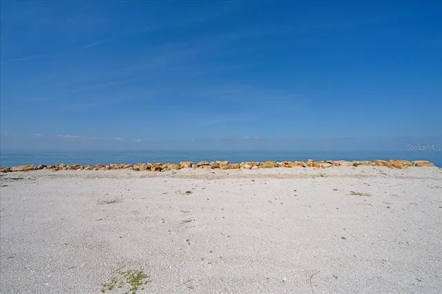 a view of a dry yard with trees