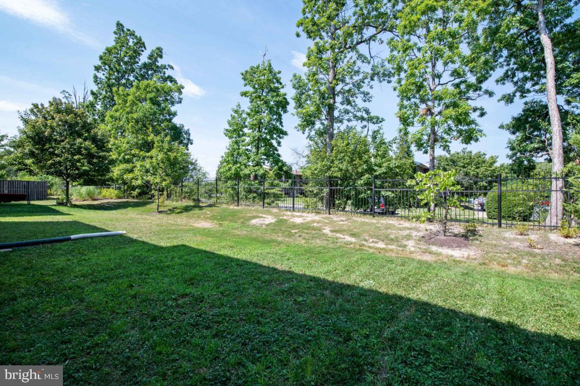9817 Davison Road Baltimore, MD 21220 - Photo 36 of 43 Spacious Backyard